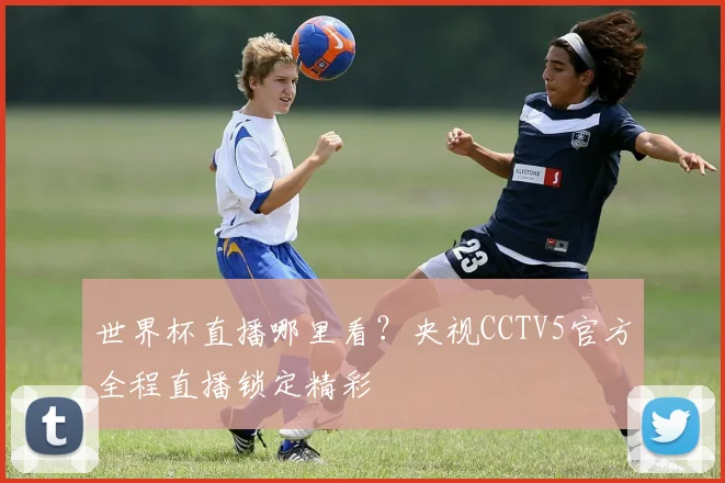 世界杯直播哪里看？央视CCTV5官方全程直播锁定精彩